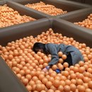 길따라꽃따라