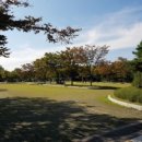 썸피싱카페 이미지