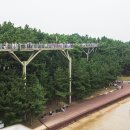 송림공원 이미지