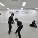 장현주짓수