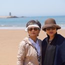 소풍 - 제주시 월정1길 23 | 소풍
