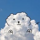 명품당구갤러리 | 송은 갤러리 루이비통 전시회 방문 후기