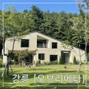 꽃다지 맞은편 | [강릉성산카페] 유럽 감성 물씬 느낄 수 있는 브런치 맛집 “오브리에타” 후기