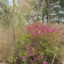 덕천3동-2 이미지