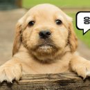 호성동세차장 이미지