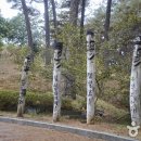 안면도수목원 이미지