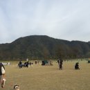 프리도그맘 이미지
