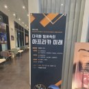아프리카미래학회