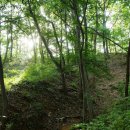 기쁨뜰근린공원 이미지