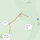 2026년 4월 12일 대구 비슬산 진달래 군락지 및 대견사 이미지