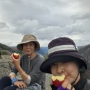 노르웨이/페로 제도 5 -- 설교단 바위(Preikestolen) 오르기 이미지