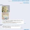 초화지 | [제 15화] 안산 웨딩부케 후기 "초화지"