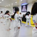 용인대 안산 타이거즈 태권도장 이미지