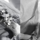 정수동물병원 이미지