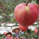 삼애농원 이미지