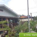 하늘바람팜스토랑 네이버블로그