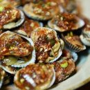 벌교IC Daum카페