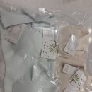 보드리 | 보드리 주니어 브라^^