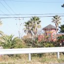 캐슬풀리조트 이미지