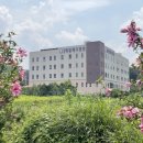 포곡제일빌딩 이미지