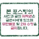 서작가초밥집 이미지