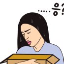 무아몽 해운대 강아지 애견미용 이미지