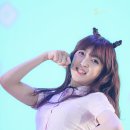 후레쉬월드 이미지