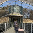 무령왕릉 이미지