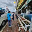 금강산횟집 이미지