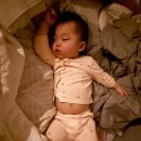 황약국 | 2025.11.14. 황마스 D+416. 이유식239일째 유아식31일째. 어린이집 5일째. 여전히 설사. ★인생 첫...