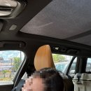 캠팡 | 프라이빗한 통대관 가능 서울 근교 캠팡장, 춘천 금병산 캠핑장 후기