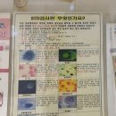 지니산부인과의원 이미지