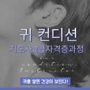 귀건강(이혈테라피) 이미지