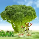 비건이지 이미지