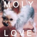몰리(MOLY) 이미지