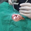 연세이다운치과의원 이미지