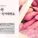 영동동물병원 이미지