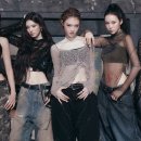 올데이 프로젝트 카카오 검색결과