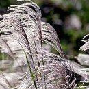 강변체육공원 이미지