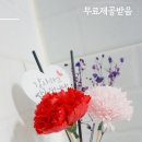 더늘솜