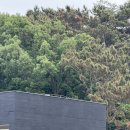비클래시 을왕리점 | 왕산 해수욕장 카페 추천｜아기랑 다녀온 비클래시 을왕리점 솔직후기(수유실, 기저귀갈이대, 아기의자)