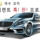 코카리스 이미지