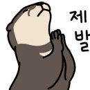 왕노가리호프 이미지