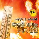 폭염을 이기는 8가지 방법 이미지