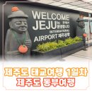 대영닭집 | [제주도 3박4일 태교여행 1일차] 청주공항 주차공간, 에어로케이, 렌트카(빌리카), 성산 부뚜막식당, 휴...