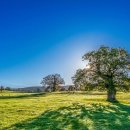 풍경힐링 이미지