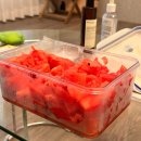 야옹아 멍멍해봐 강아지고양이 충남서산점 | 8월1-2주차: 한달 밀렸어도 뻔뻔하게 쓰는 주간일기
