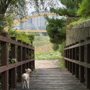 잼나오락실 동탄목동점 | [동탄] 동탄 꿈을파는빵집 | 생식빵,소금빵,커피 맛집