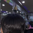 헤어랜드 이미지