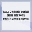 리브동물의료센터 | 인천서구동물병원 반려동물 건강을 위한 365일 운영되는 리브동물의료센터